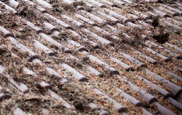 Fawler roof cleaning companies