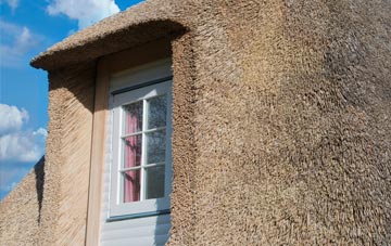 Fawler thatch roof disadvantages